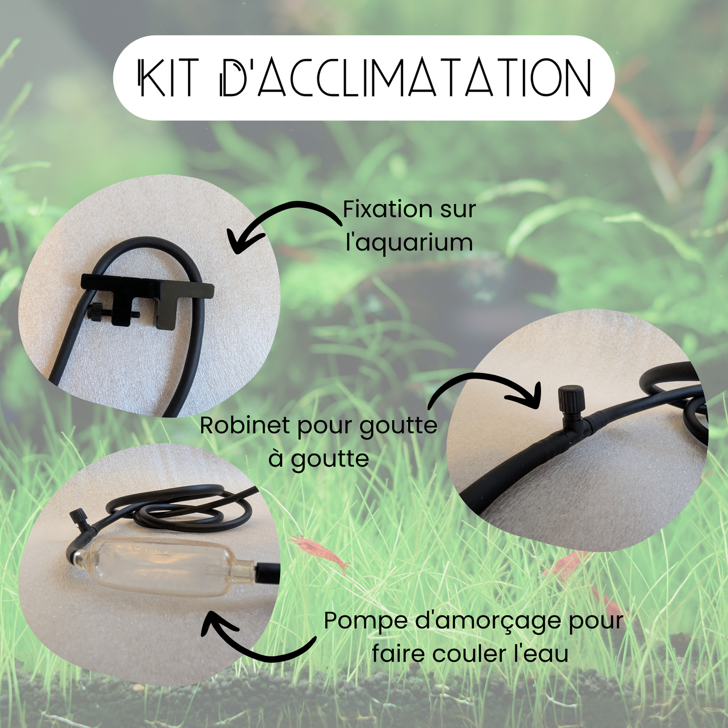 Kit d'acclimatation