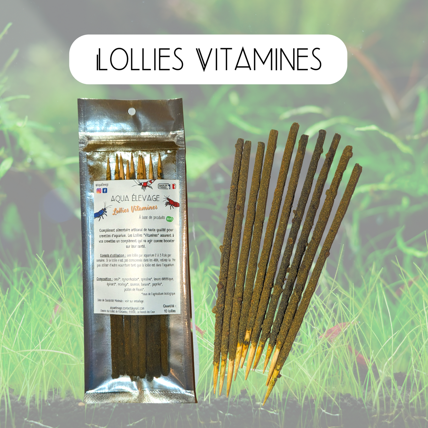 Lollies "Vitamines" pour crevettes d'aquarium