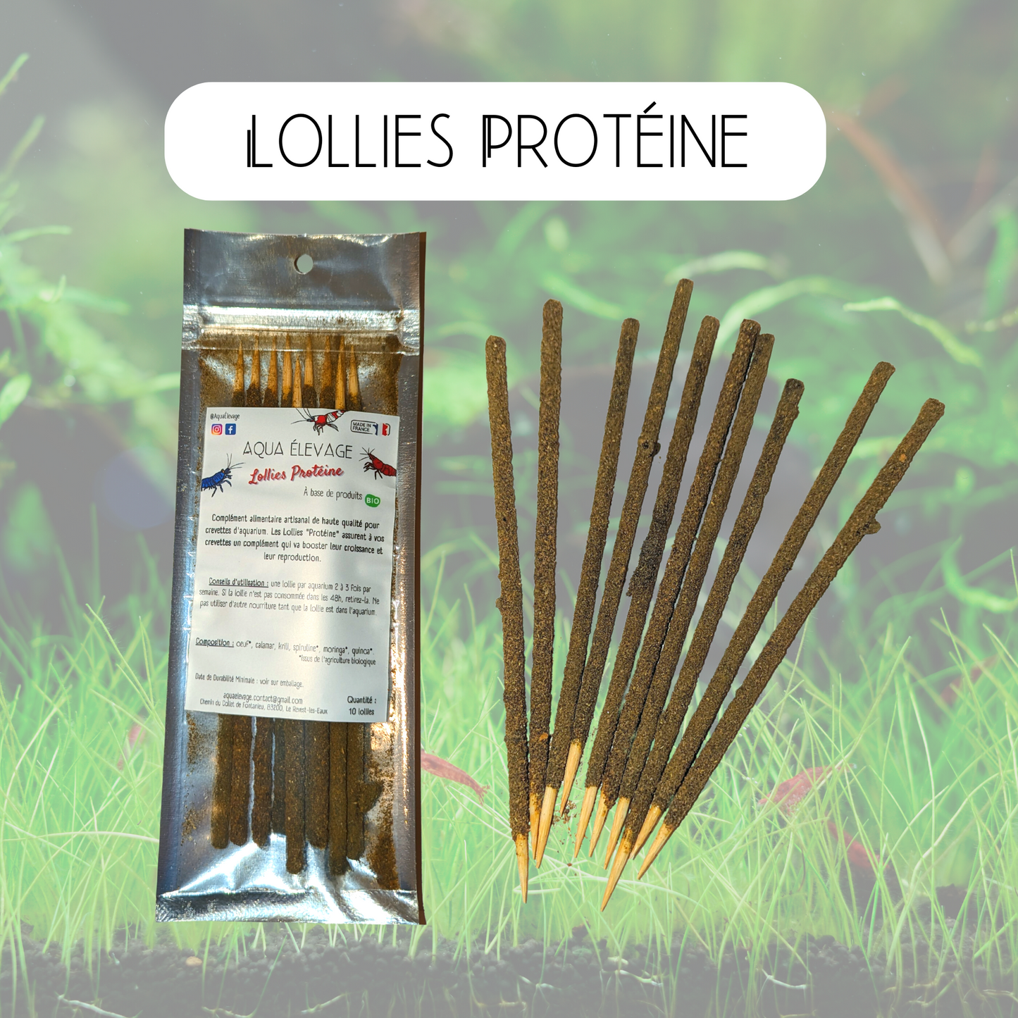 Lollies "Protéine" pour crevettes d'aquarium