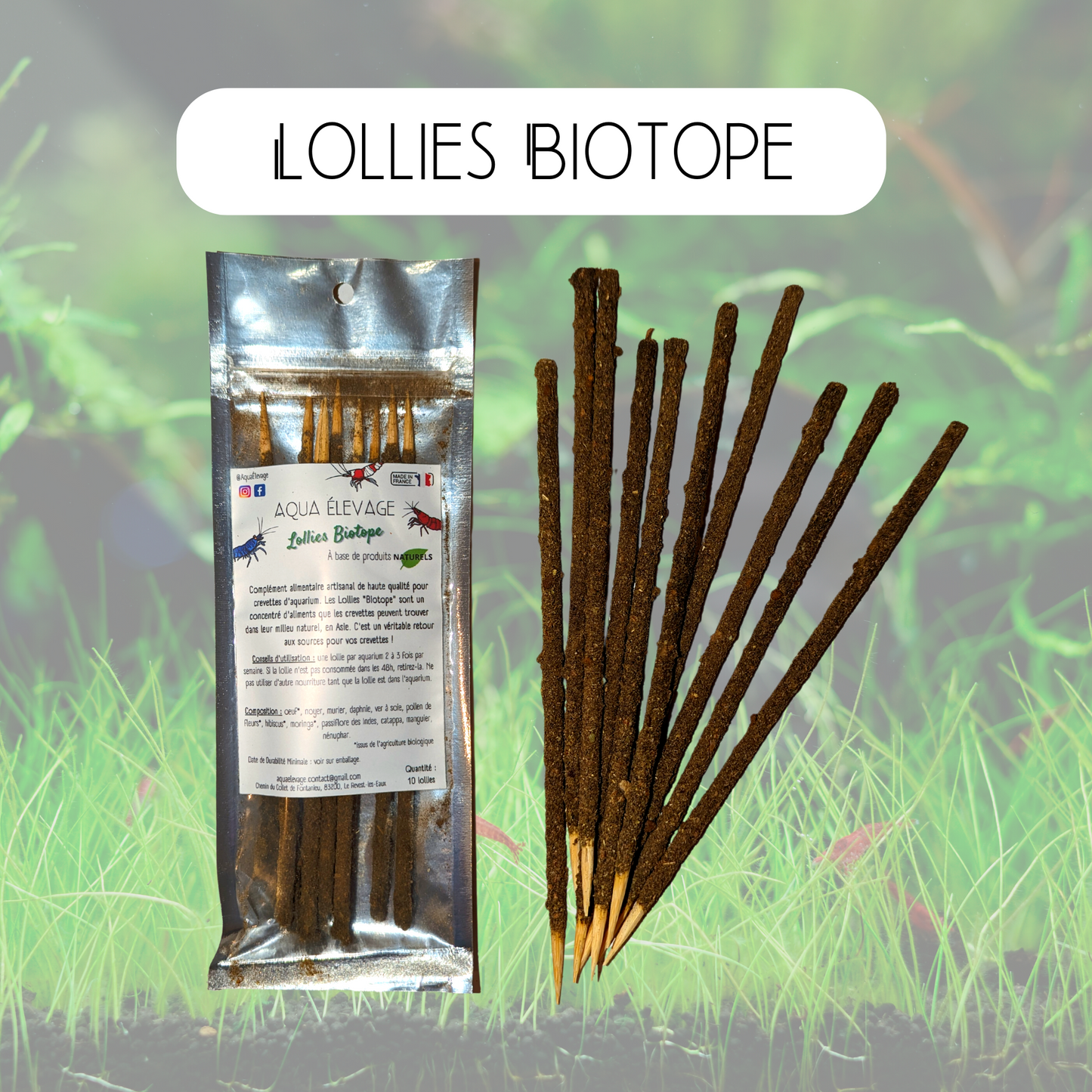 Lollies "Biotope" pour crevettes d'aquarium