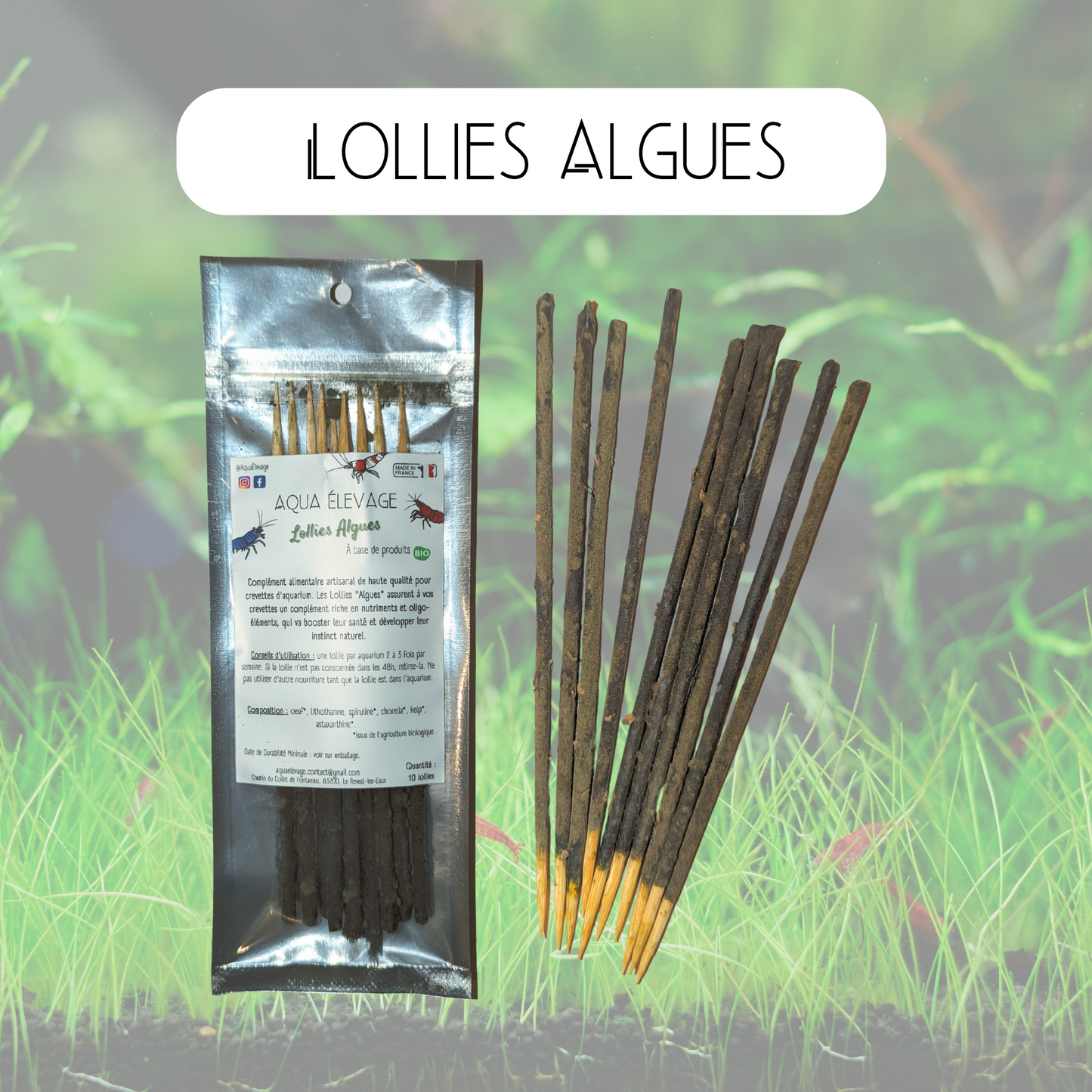 Lollies "Algues" pour crevettes d'aquarium