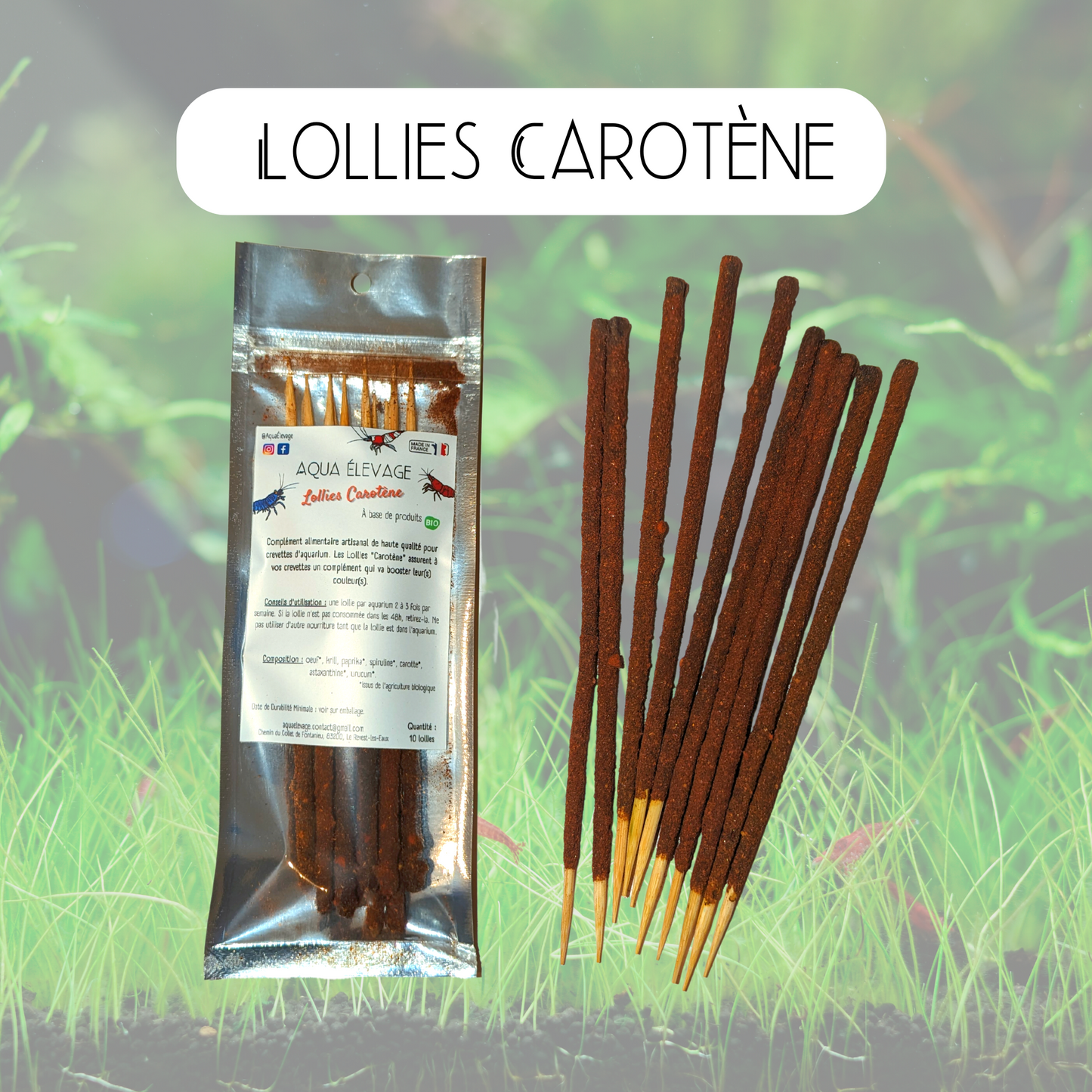 Lollies "Carotène" pour crevettes d'aquarium