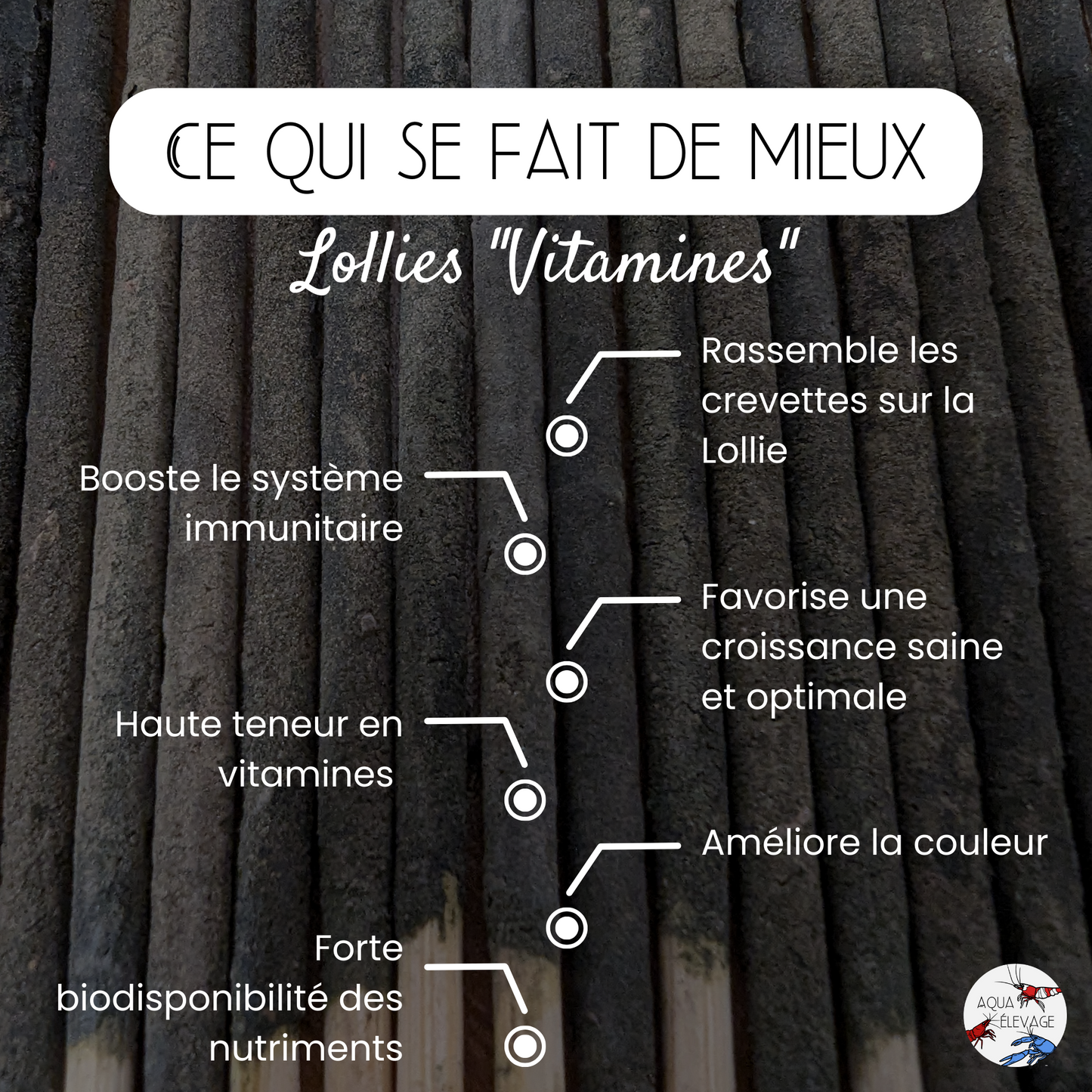 Lollies "Vitamines" pour crevettes d'aquarium
