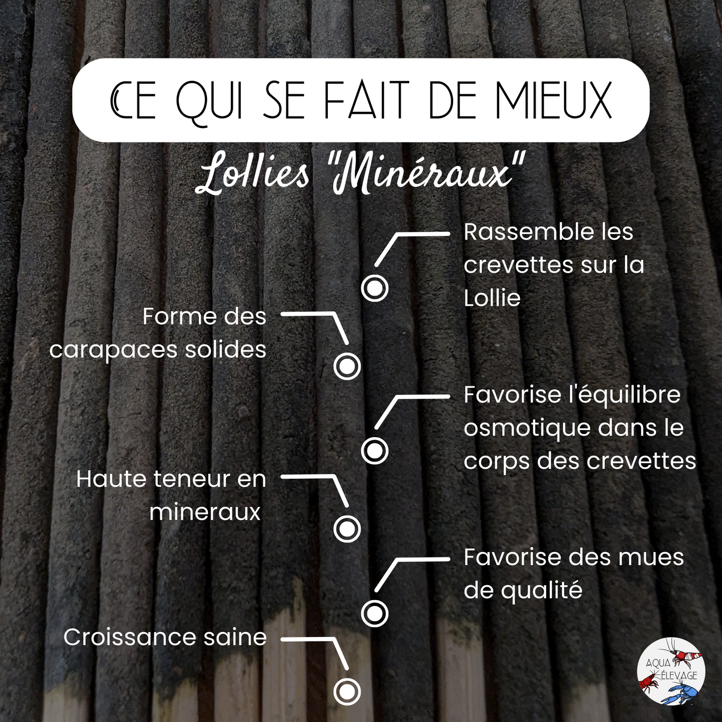 Lollies "Minéraux" pour crevettes d'aquarium