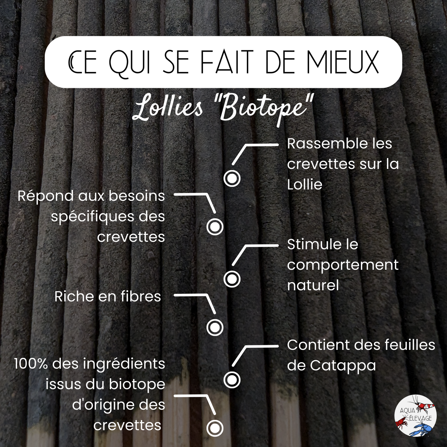 Lollies "Biotope" pour crevettes d'aquarium