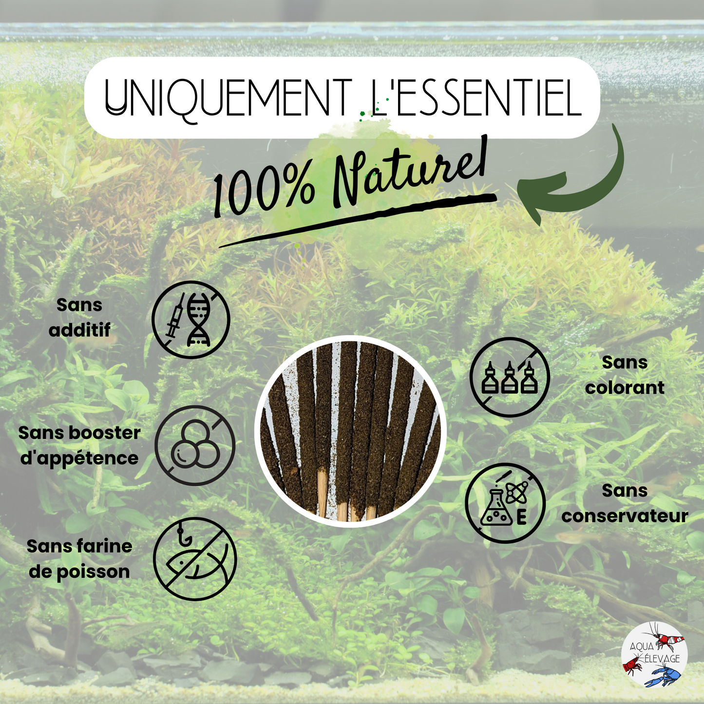 Lollies "Protéine" pour crevettes d'aquarium