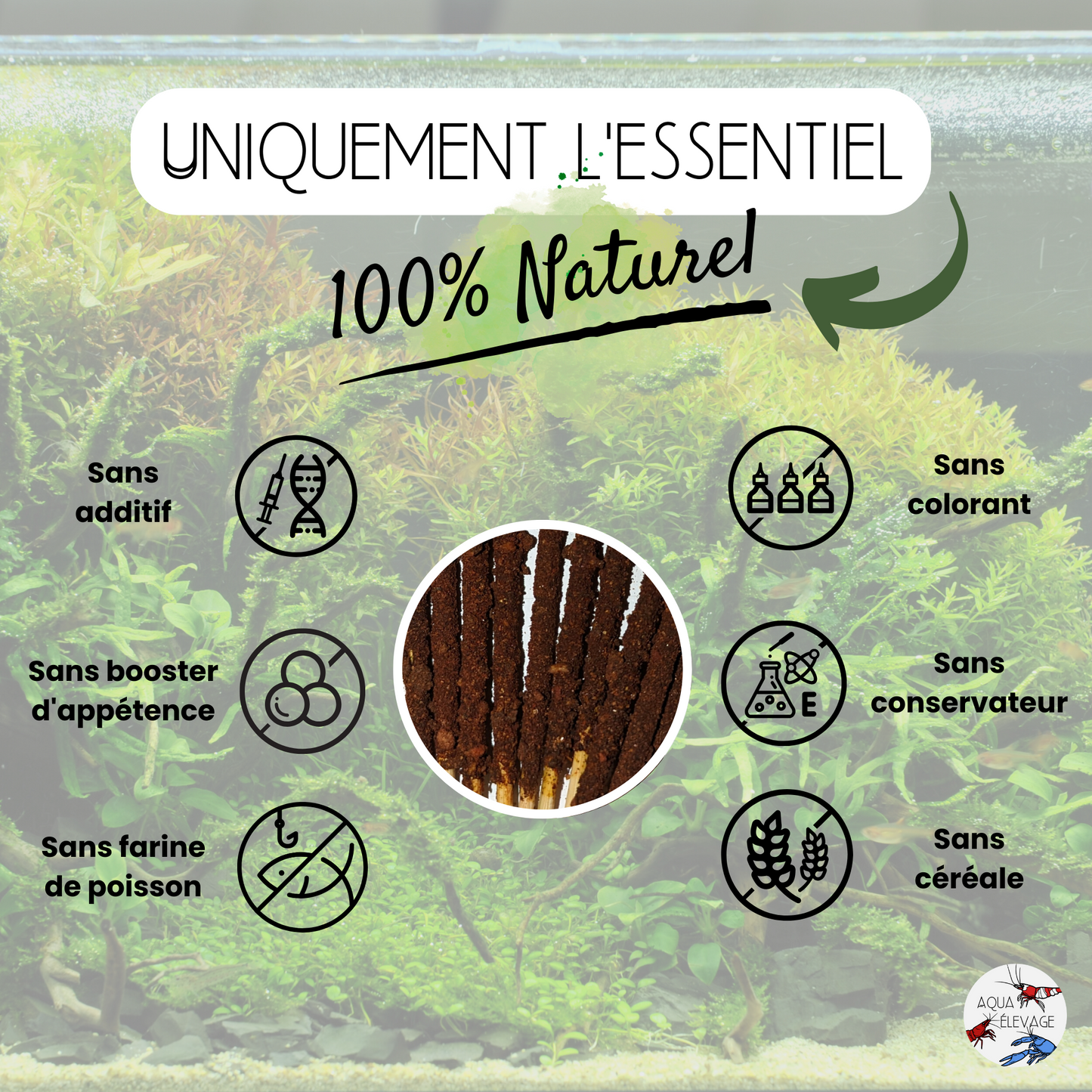 Lollies "Carotène" pour crevettes d'aquarium