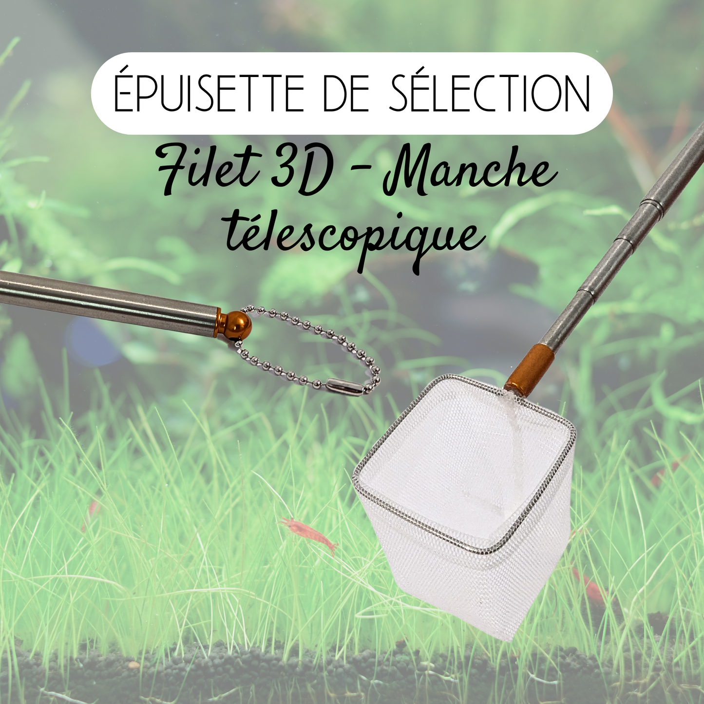 Épuisette 3D Télescopique