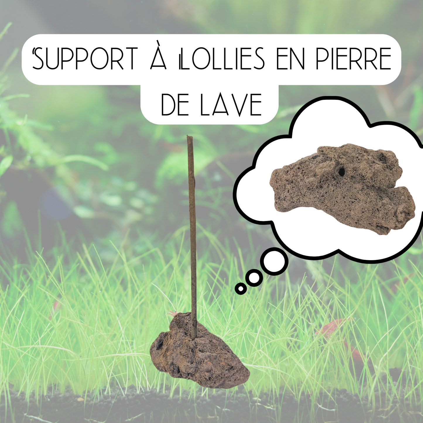 Support à lollies en pierre de lave