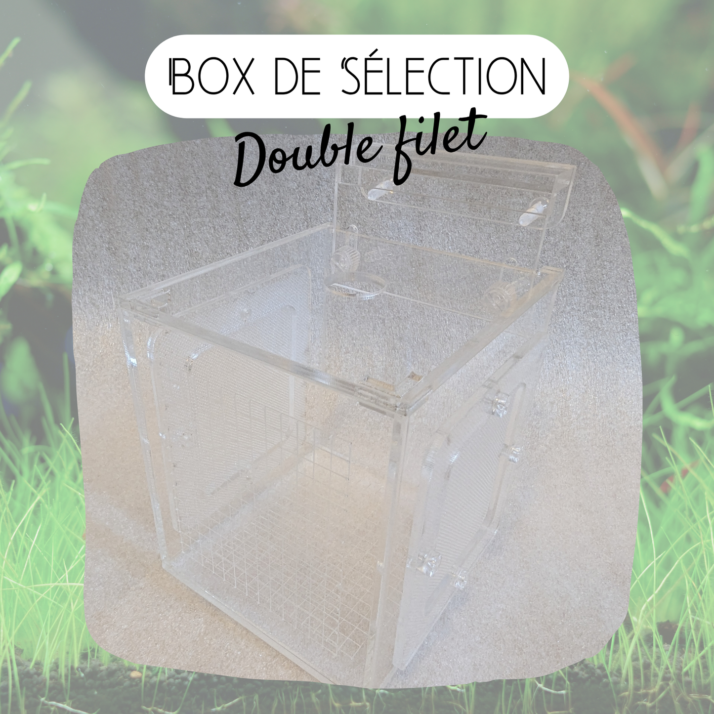 Box de sélection - 2 filets - 10*10*10cm