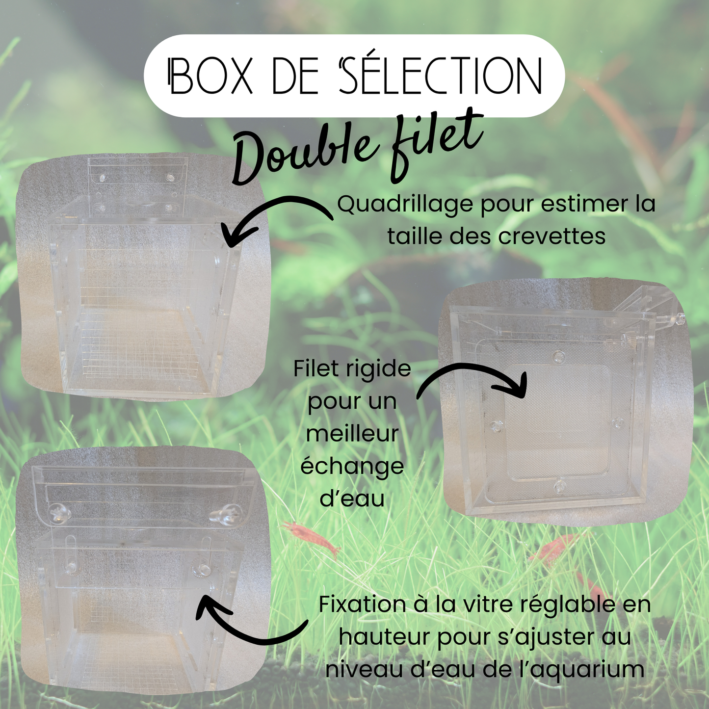 Box de sélection - 2 filets - 10*10*10cm