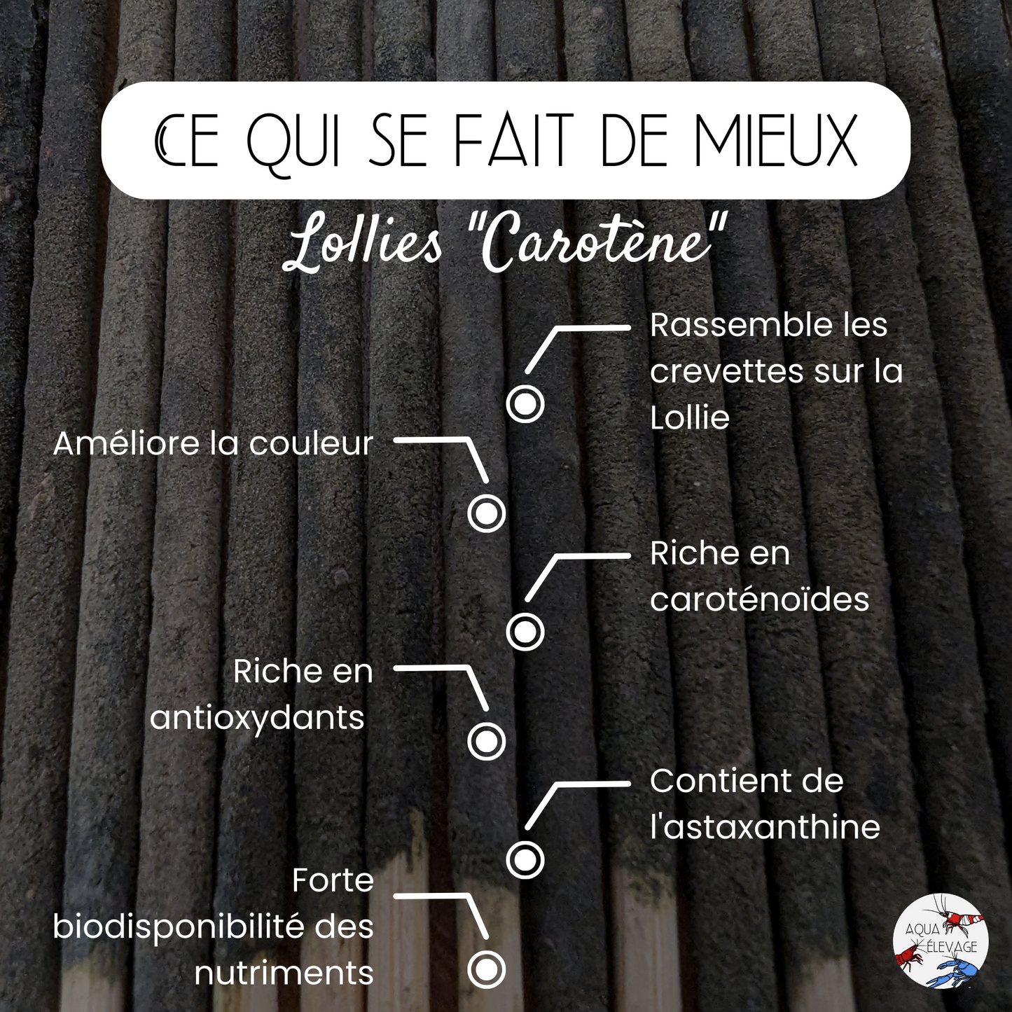 Lollies "Carotène" pour crevettes d'aquarium