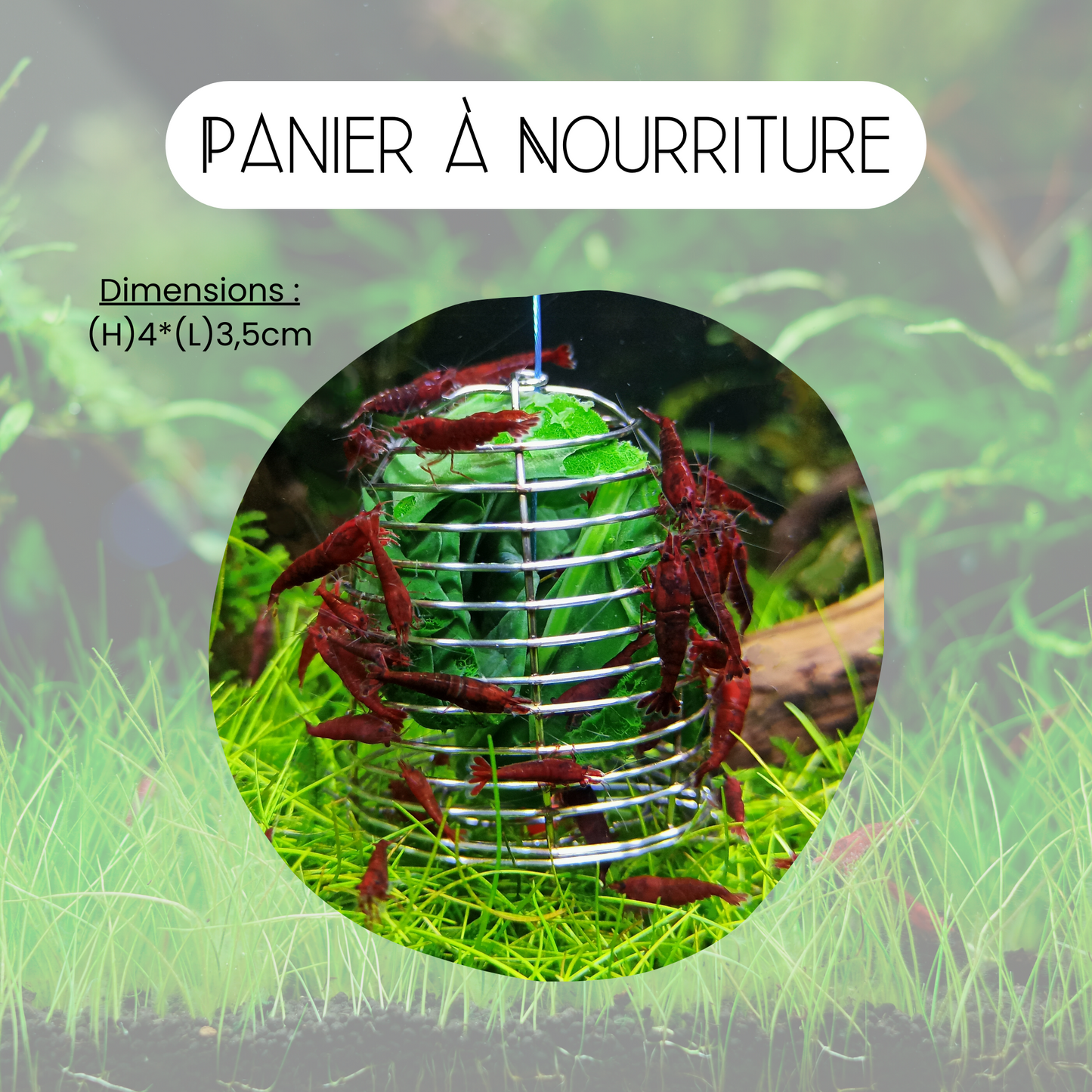 Panier à nourriture