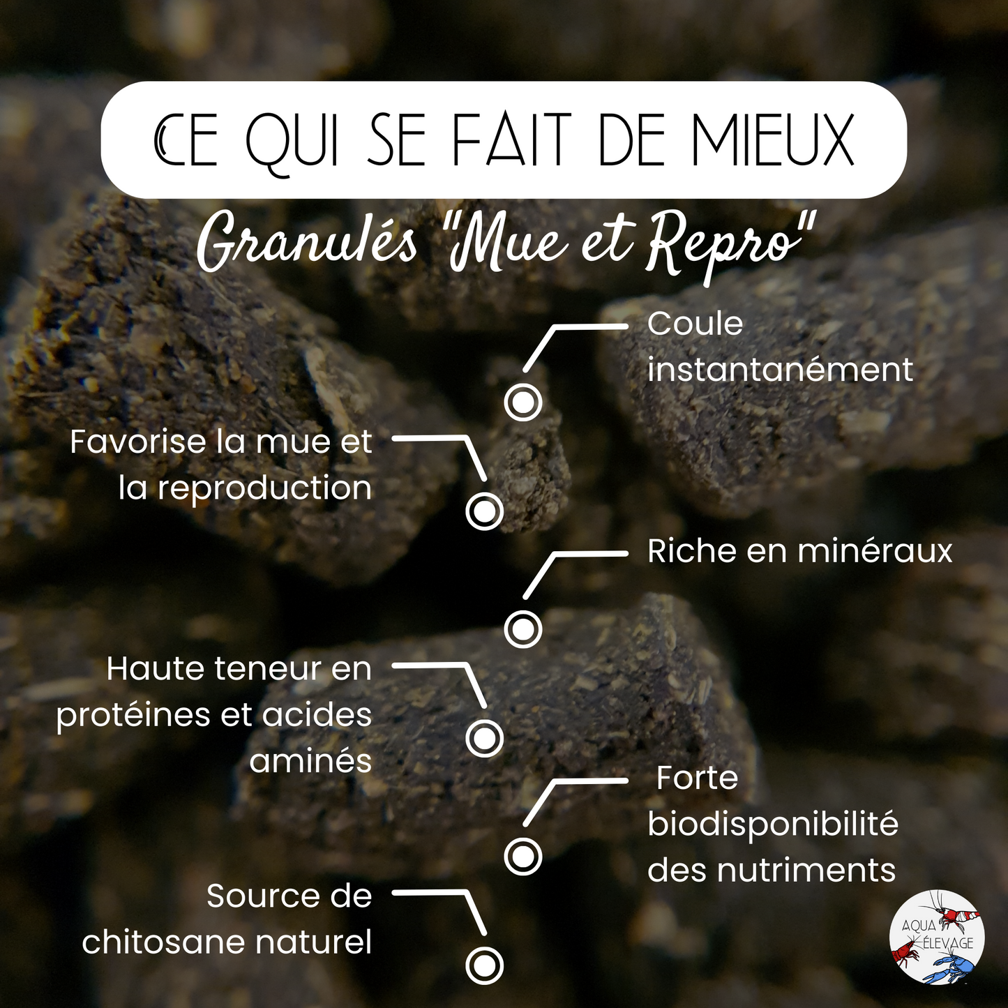 Granulés "Mue & Reproduction" pour crevettes d'aquarium
