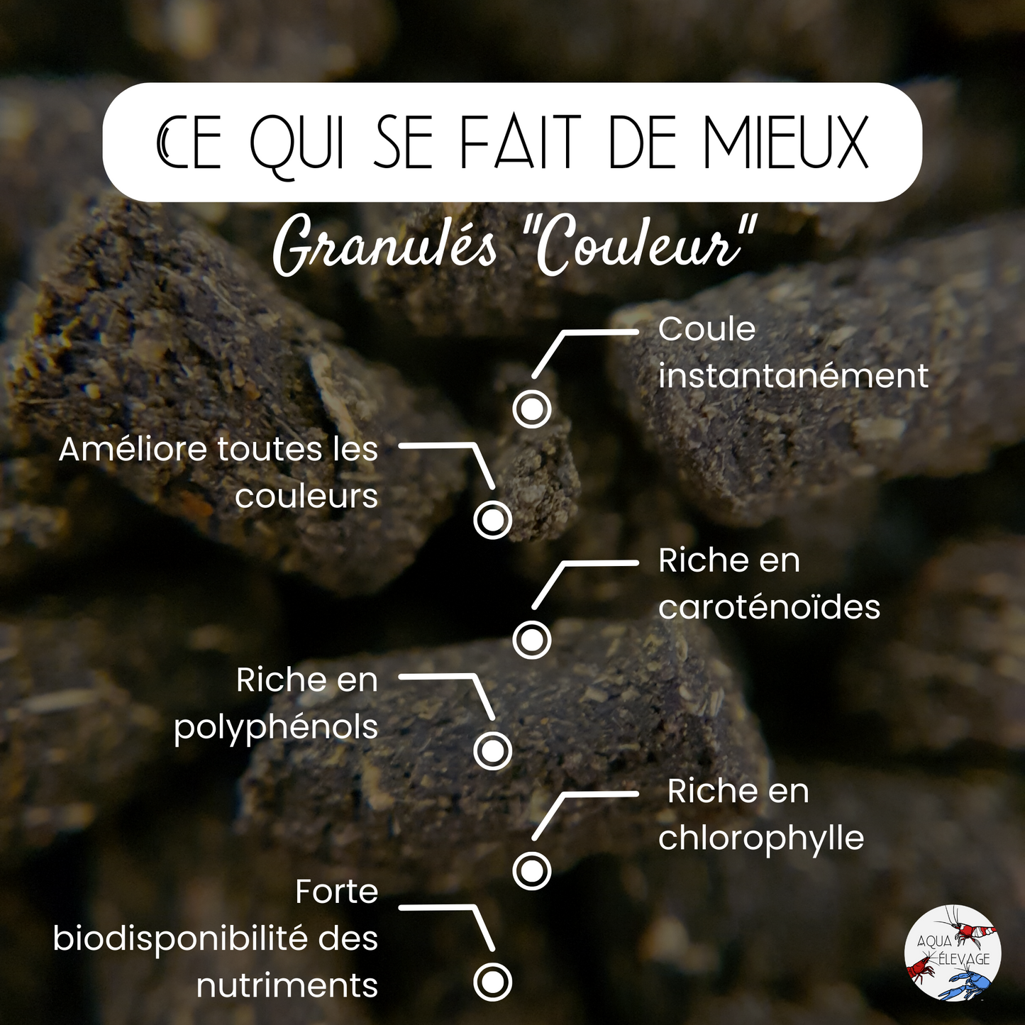 Granulés "Couleur" pour crevettes d'aquarium