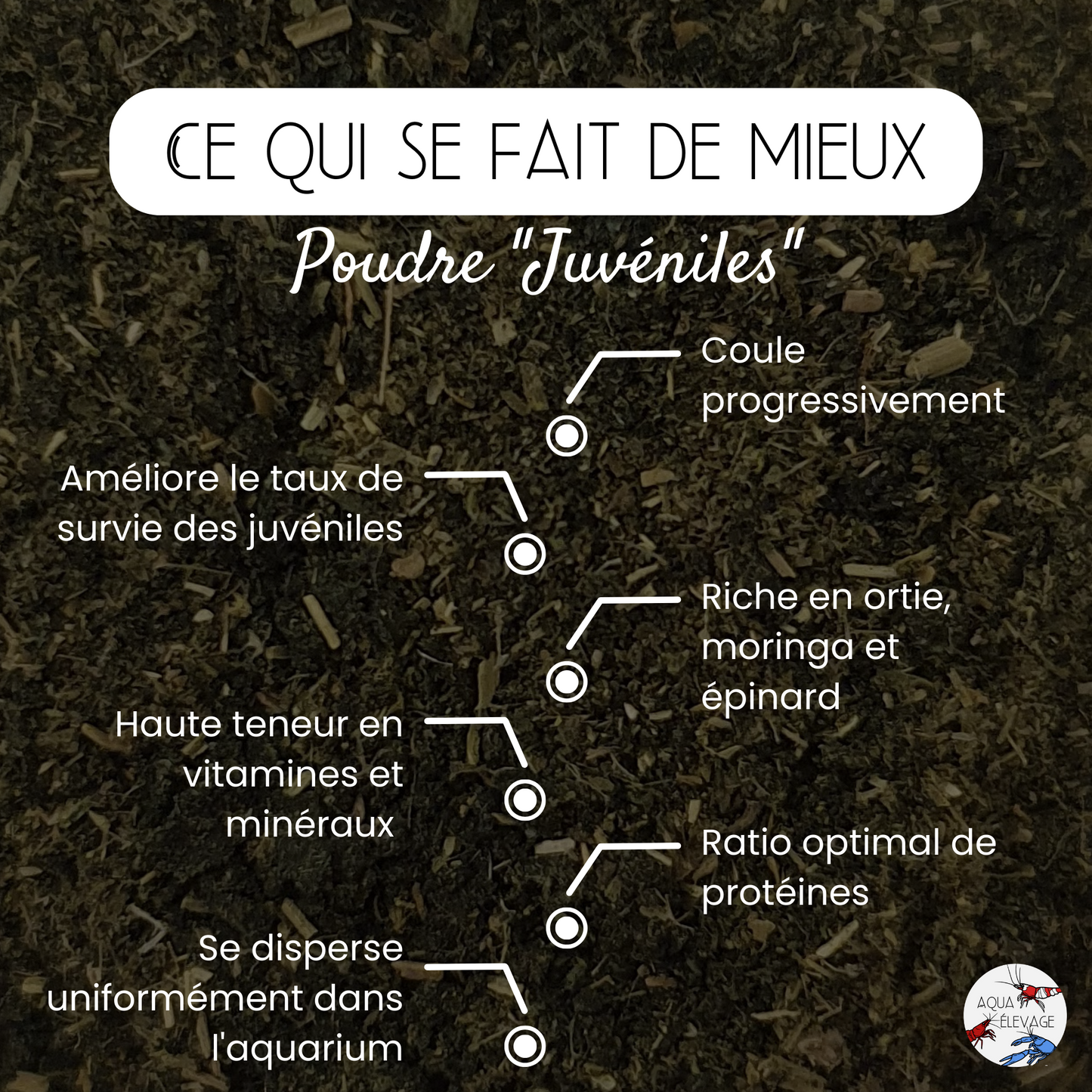 Poudre "Juvénile" pour crevettes d'aquarium