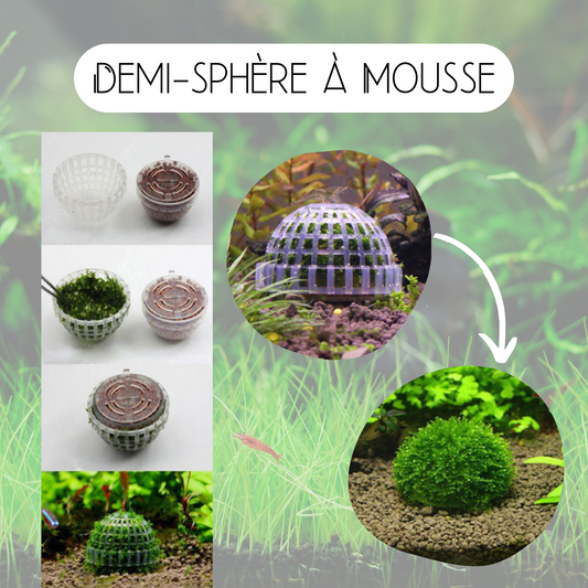 Demi-sphère à mousse