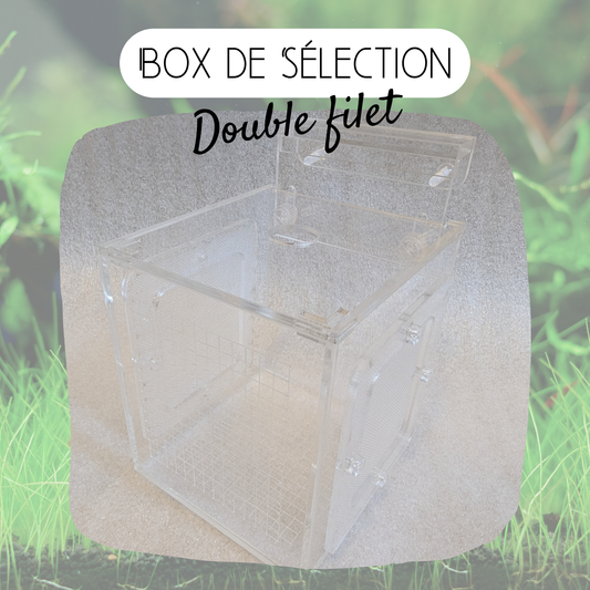 Box de sélection - 2 filets - 10*10*10cm