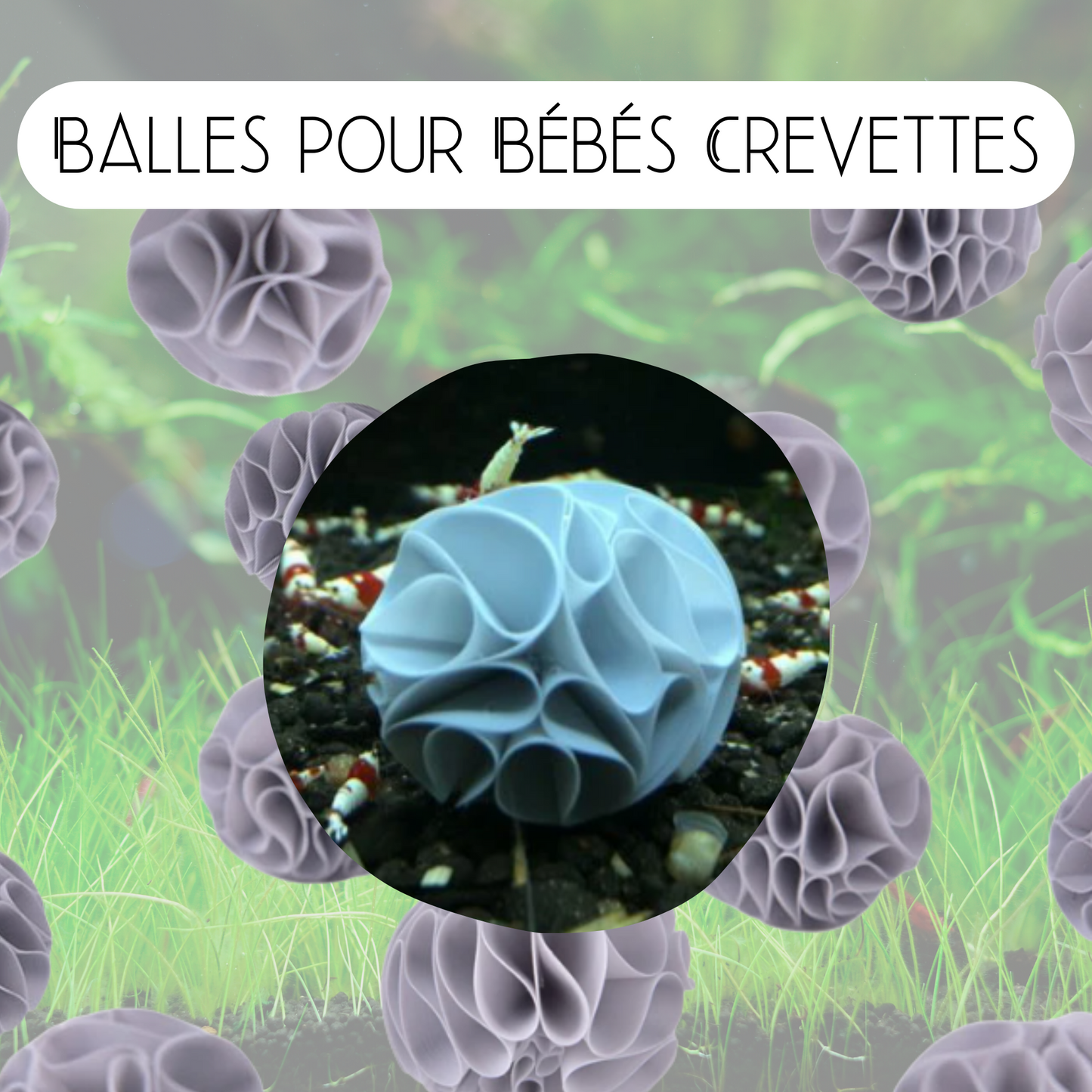 Balles pour bébés crevettes