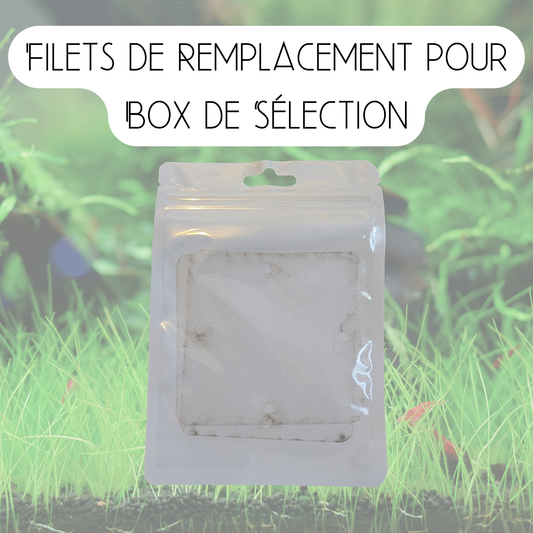 Filets de remplacement box de sélection (x2)