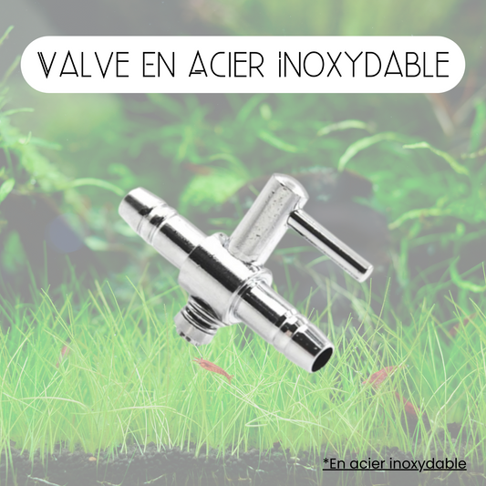 Valve en acier inoxydable