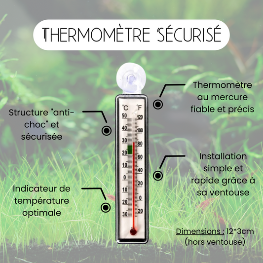 Thermomètre sécurisé