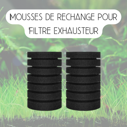 Mousses de rechange pour filtre exhausteur