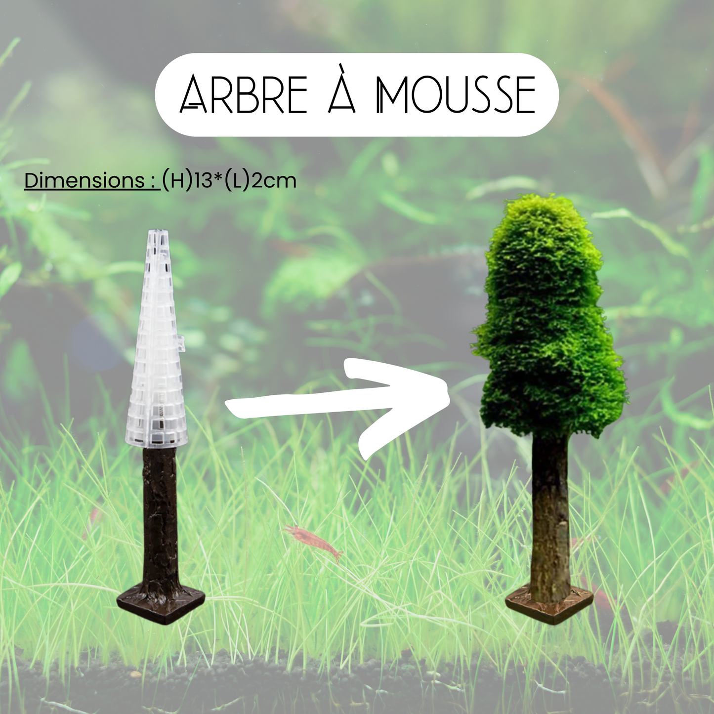 Arbre à mousse