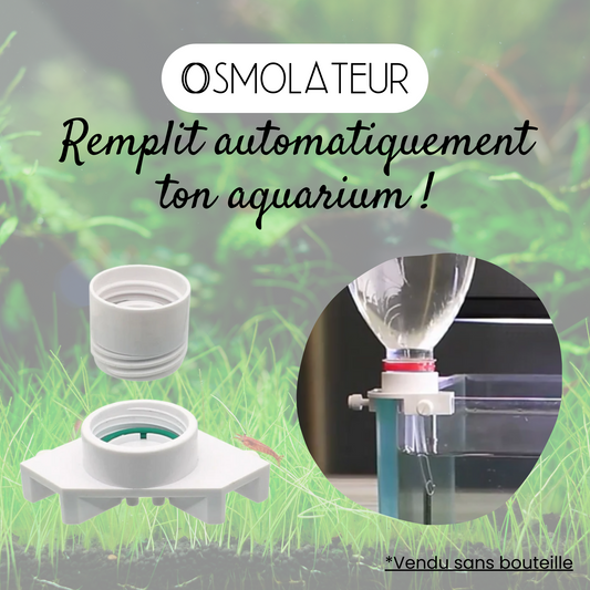 Osmolateur