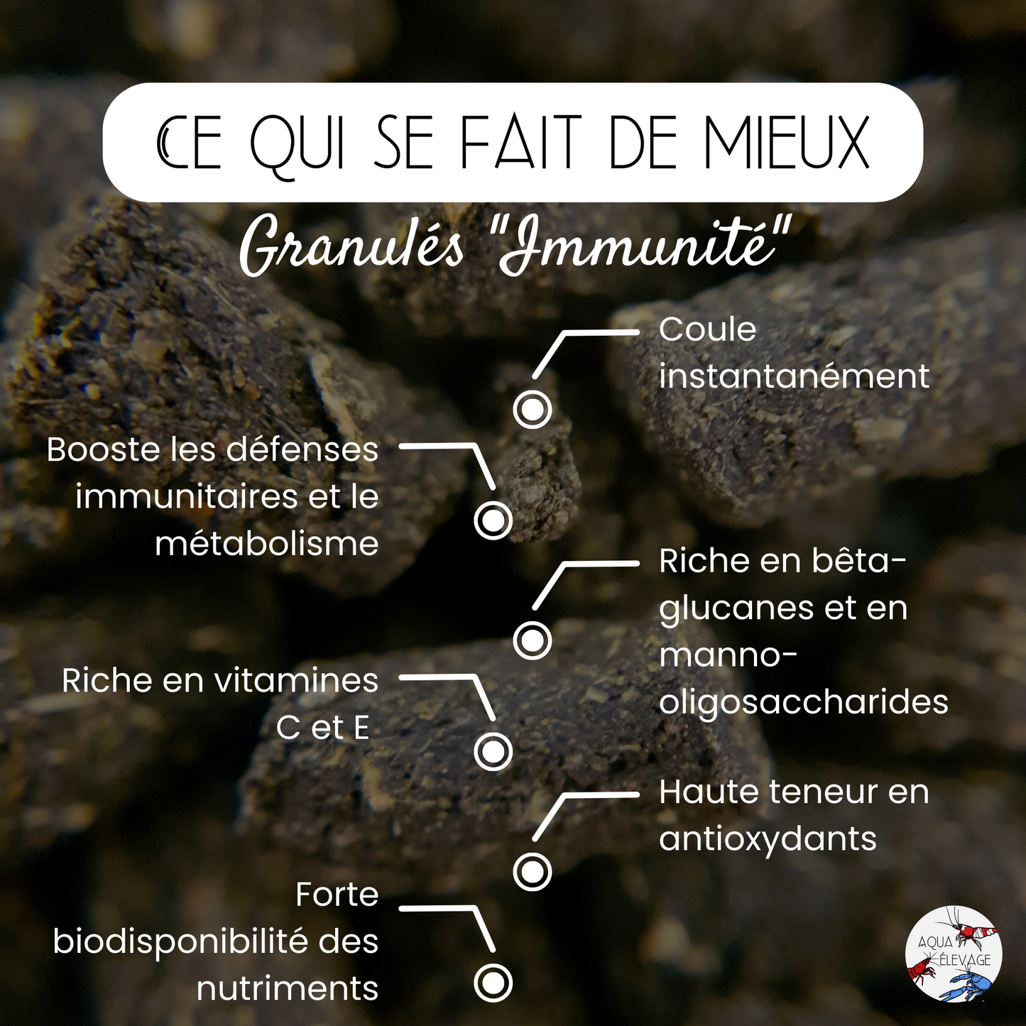 Granulés "Immunité" pour crevettes d'aquarium