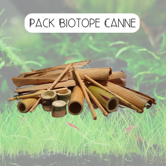 Pack biotope canne